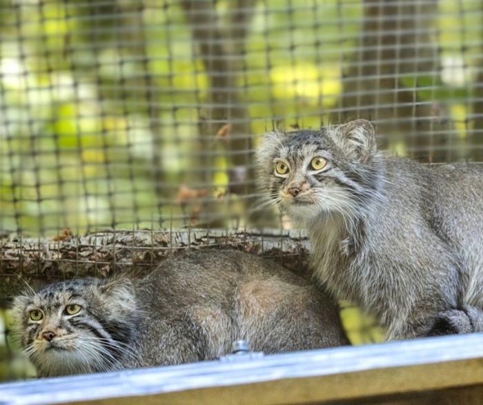 -    .     ,             .