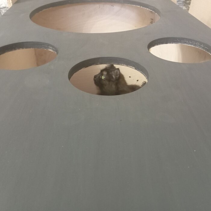 Куколка! В миру Куки. У меня их есть ещё, как-нибудь расскажу.