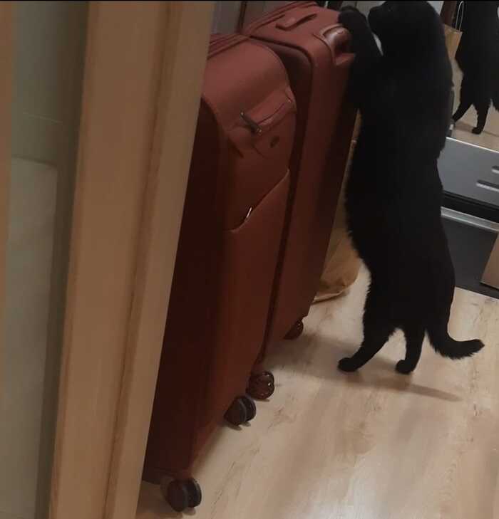     , , 