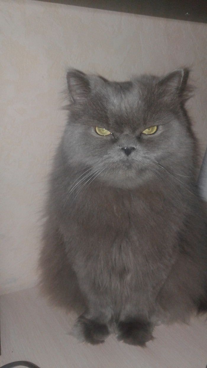 ���� ���� ����� ���������� �� ������