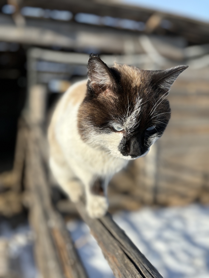 �����, ��� �����������)