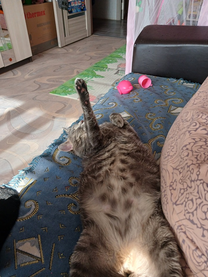      ) ,  ,  , 