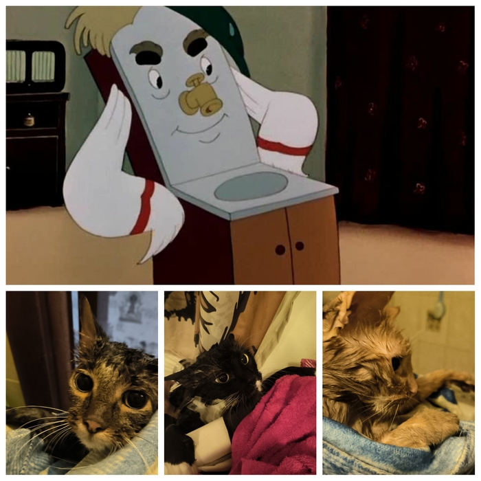 �������� ������ �� ������ �����, �����������)