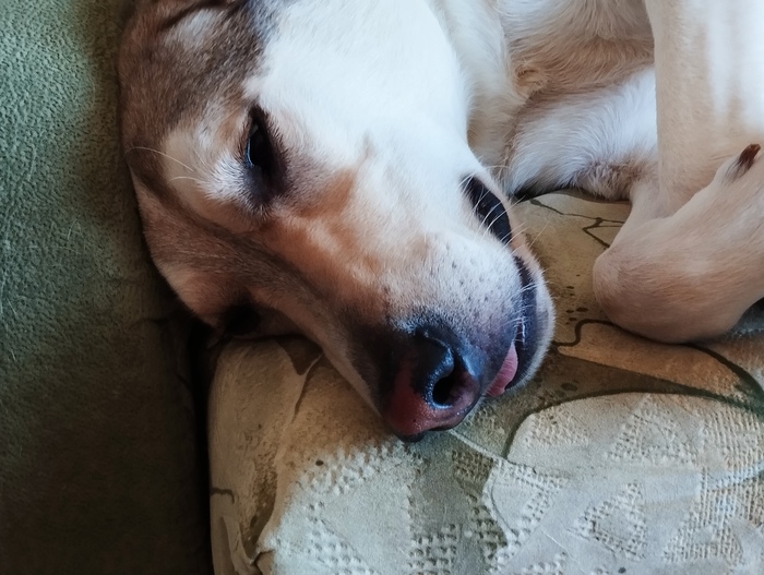 � ��� �����