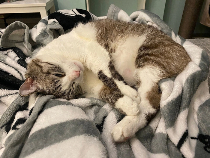 Озорной Дьюк покинул приют 18 ноября 2020 года.