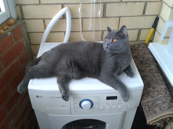 Знакомьтесь, Чак