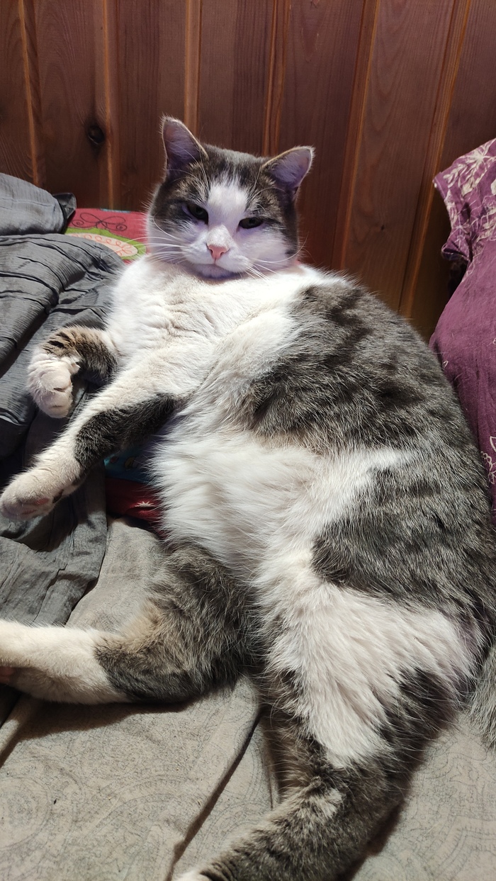 Витон - бидон