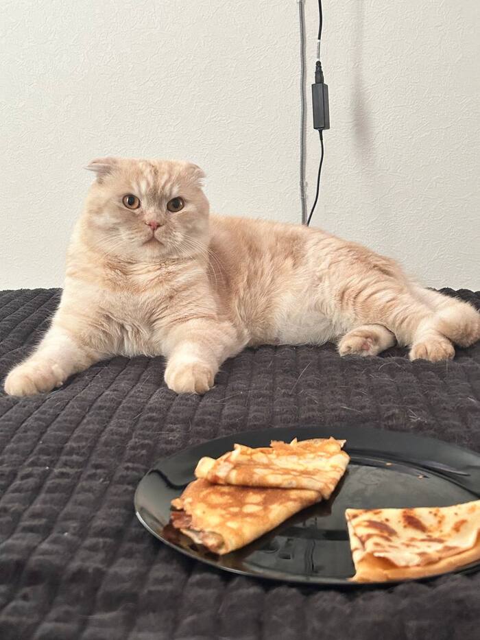 ������� ����� ������