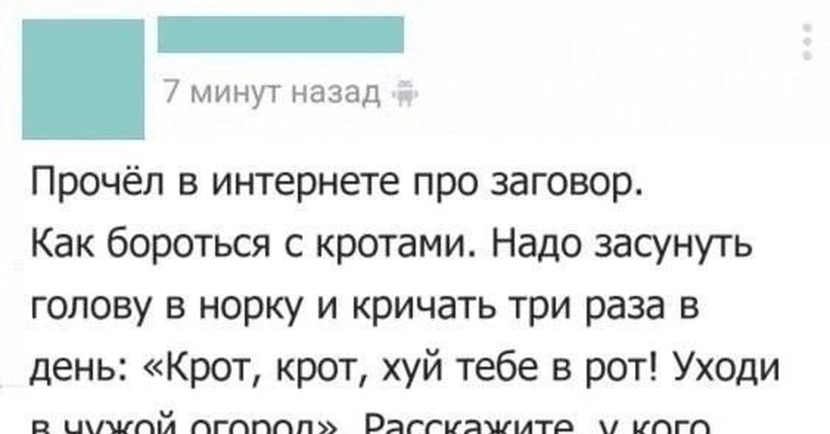 Средство против кротов | Пикабу
