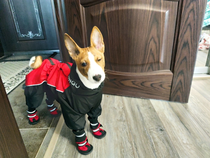 ��� �� ���� ����������� )