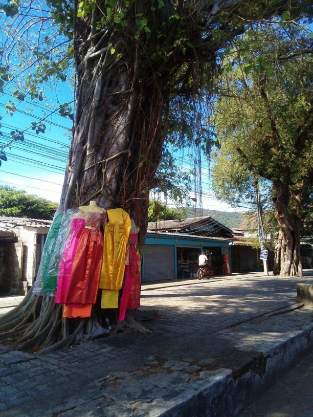 Дерево — обиталище духов