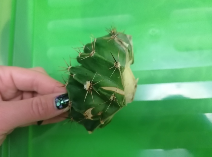 � ��� �������� ����� ��������� ����� ����������