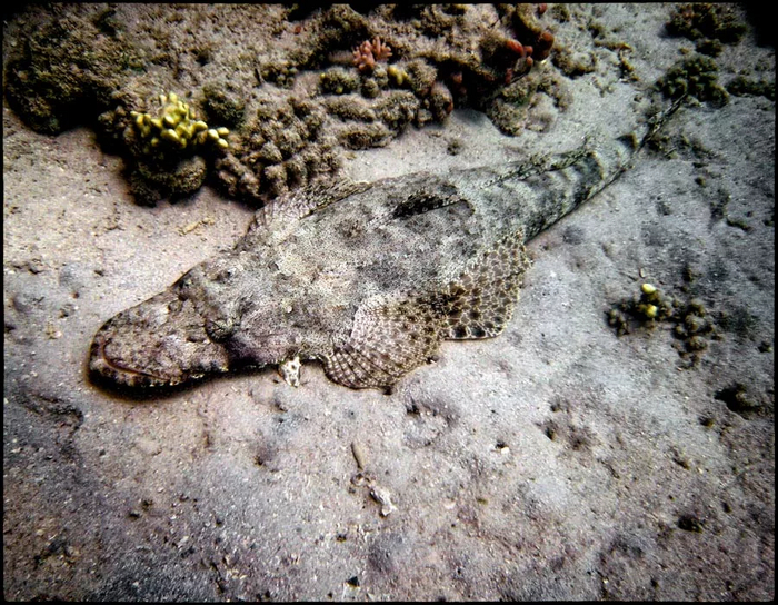 Сложность случайного обнаружения: невозможно.