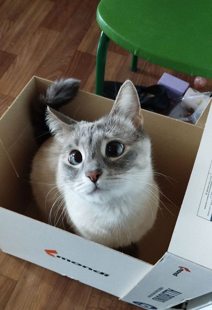 ��� ����� �������� �������) ����� ������� � ������, ������ � ���������� ������, �������� �� ���� � ��������� ���� ������� (� � ����� ��� ����, ������ ��� ��������� ����������� � �� ������� ������), ���������� � �������)))))