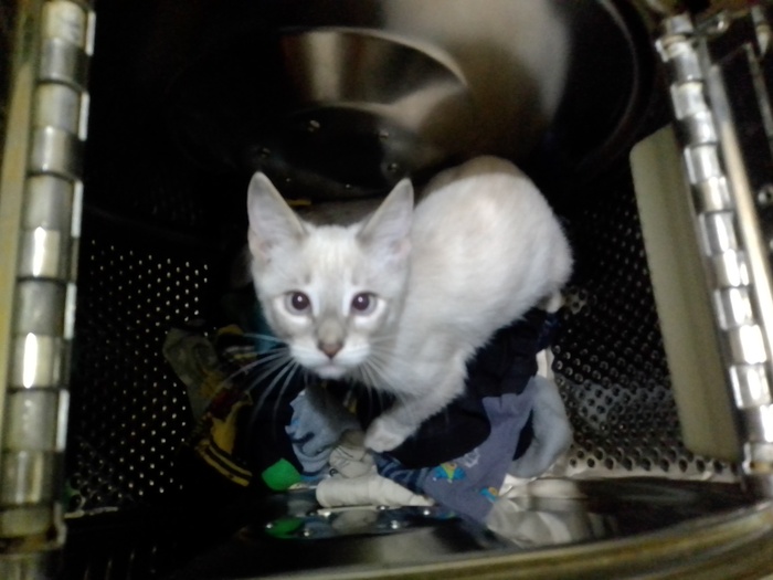 ��������� ���� ������� ������� ������)