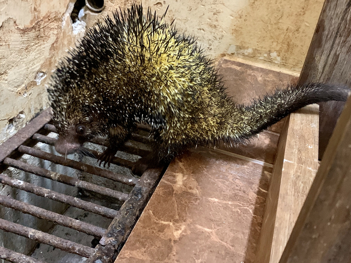 Когда в салоне сделали не то окрашивание, но ты слишком слаб морально, чтобы что-то сказать.