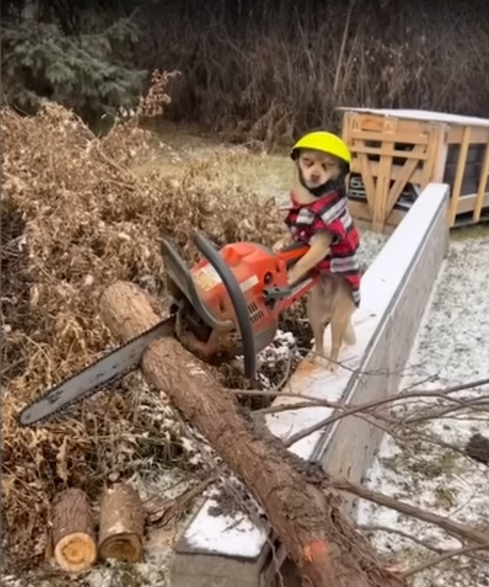 ������ �������, � ��� ������ ��� �������, ����� ������� �� ����