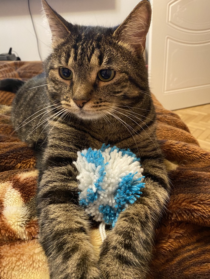 ��� �������