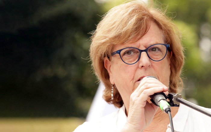 Профессор инженерного факультета Тель-Авивского университета Хагит Мессер-Ярон. (Courtesy)