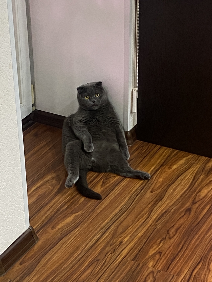      ! , , , ,  ,  