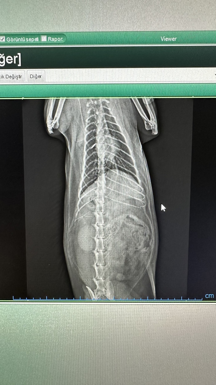 Рентген два