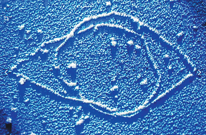 �������� ��� ��� ����������� �����������