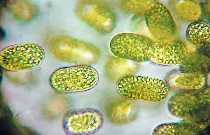 �������������