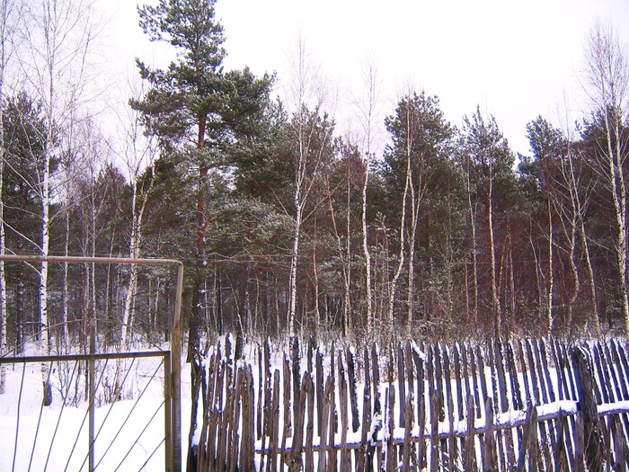 Зимний пейзаж