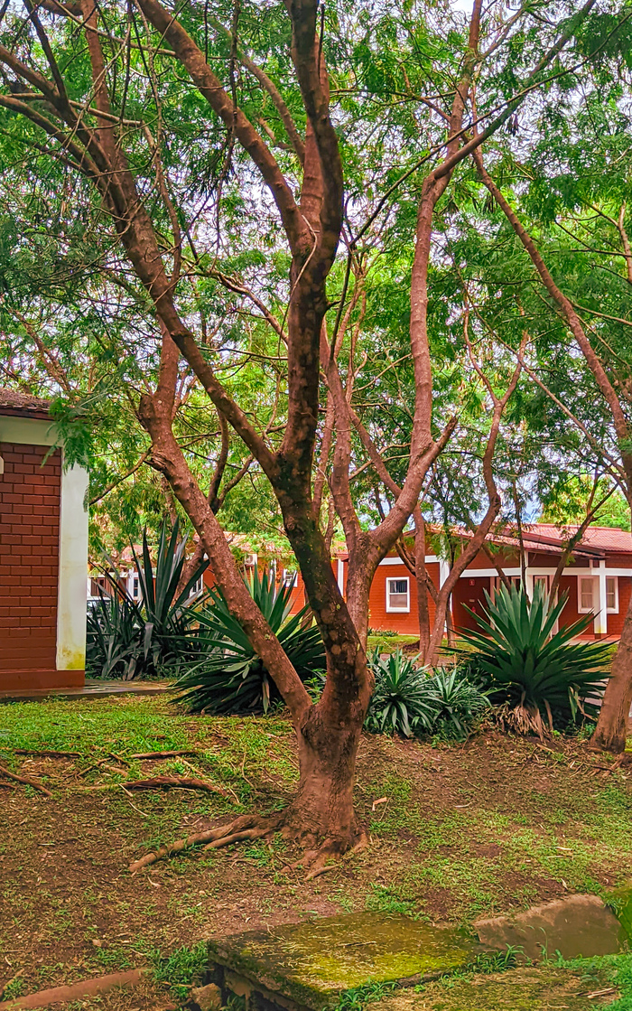 Ҹ���� ���� � ������