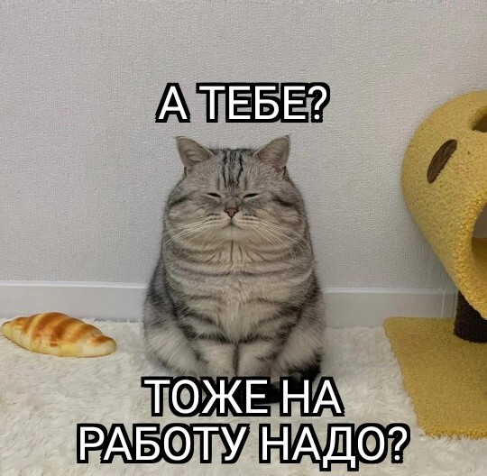 Работяга | Пикабу