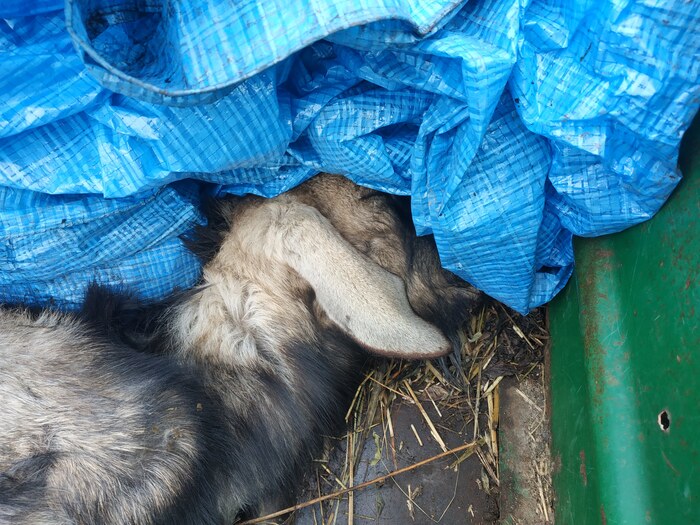 �������, ��� ���� �������� �������� ������� ����� ������, �� ��� ������.