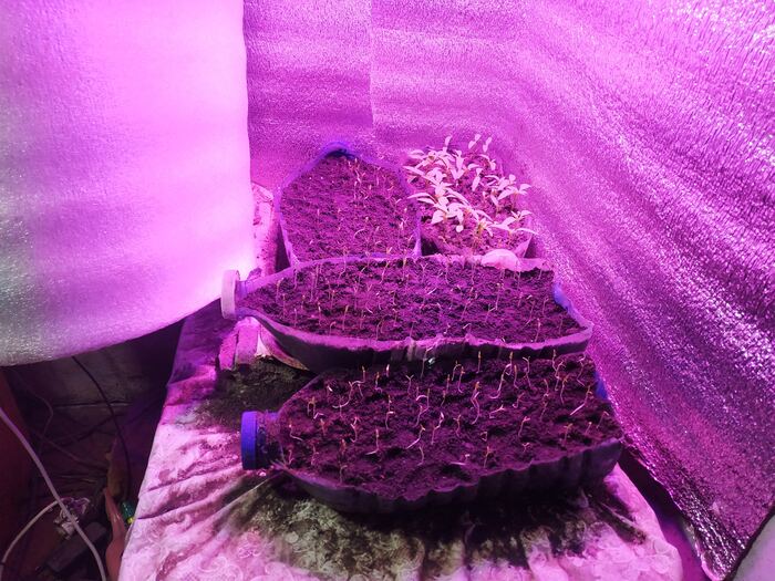 ��������� �� �����������.