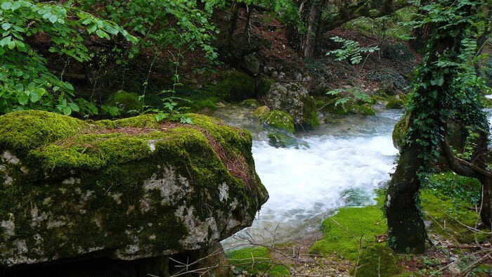 ������������ ��� �����-����