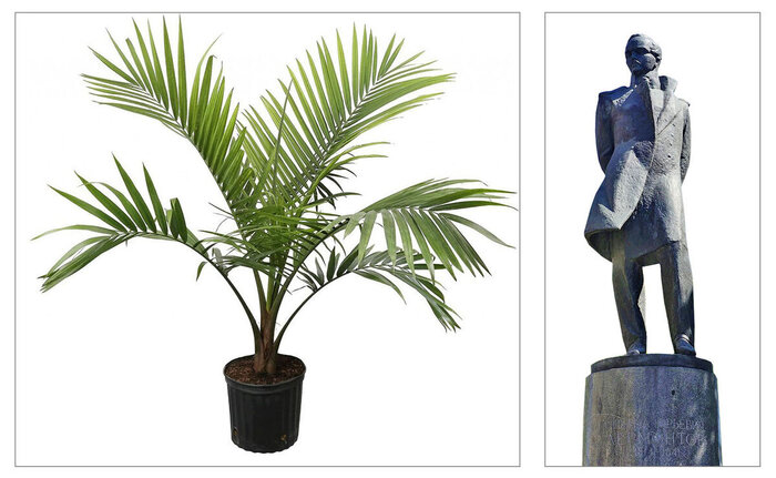 ��, ��� �����...