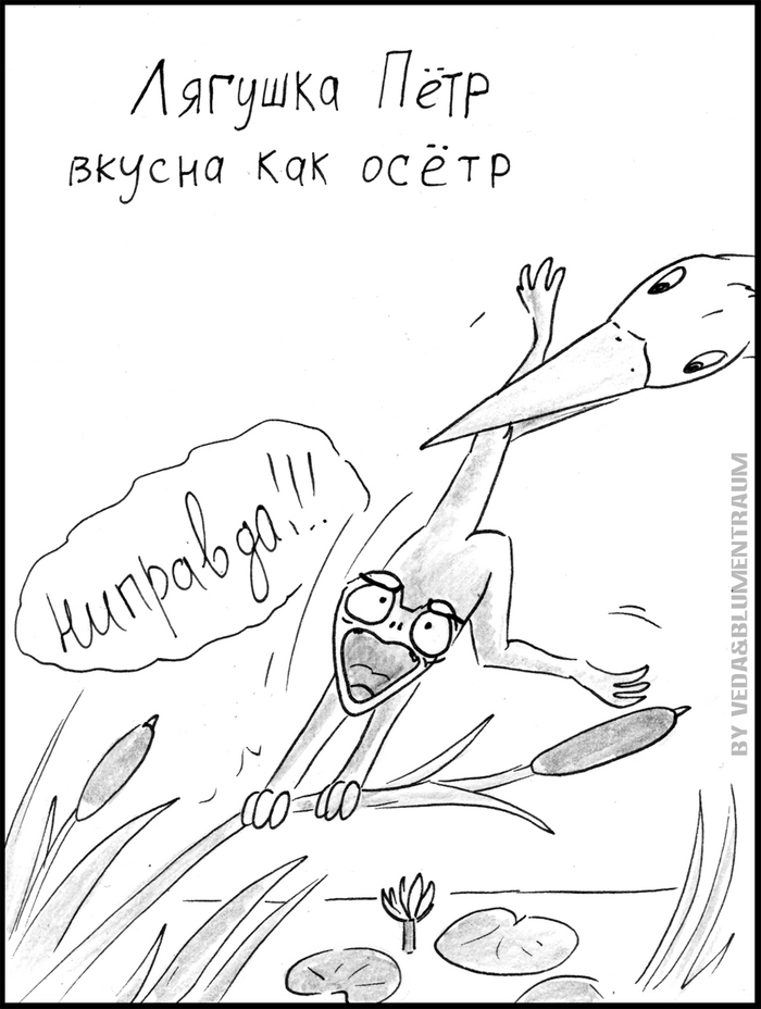 �� �������� ��������!