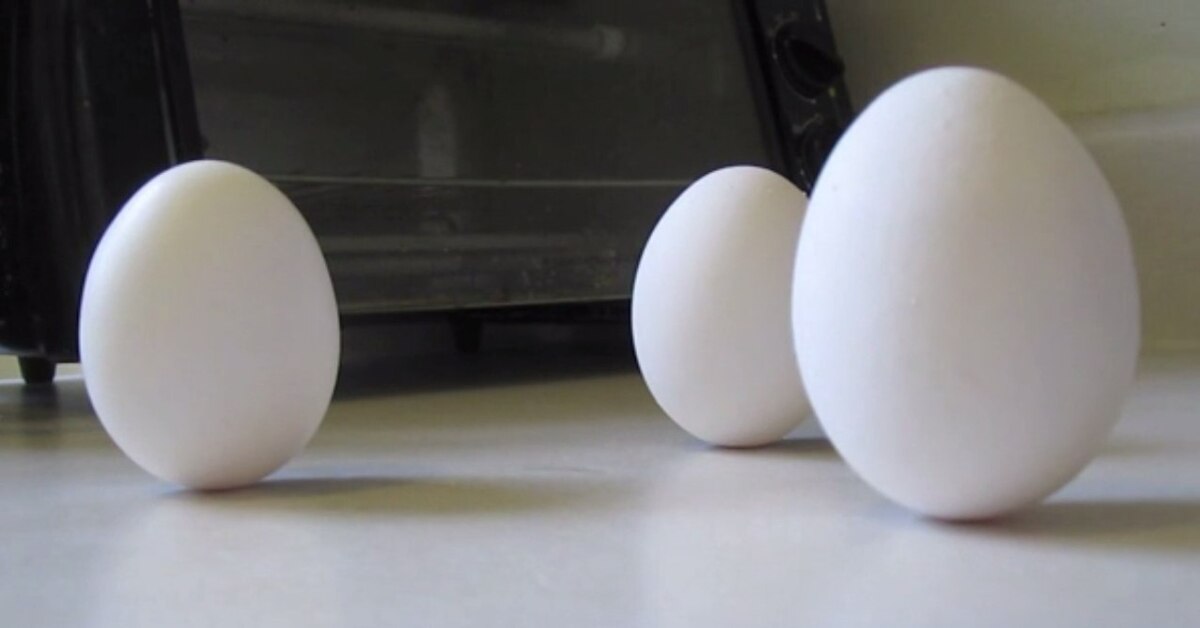 Поставить яйцо вертикально. Яйцо колумба. Стоячие яйца. Яйцо стоит вертикально. Стоячие яйца.