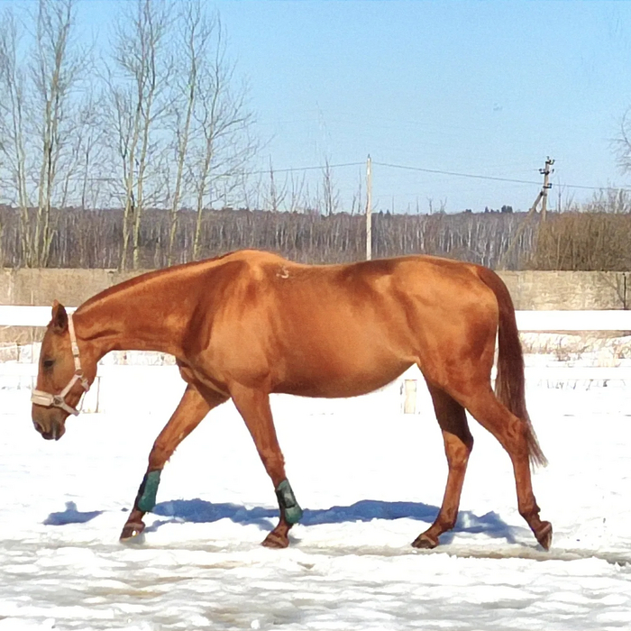 Если не знать и не приглядываться, то и не видно.