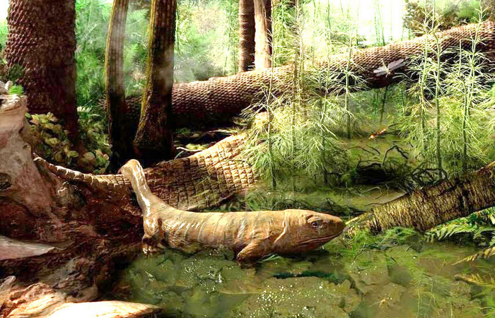 ���, ���� �� ������ �������� �������� �����!