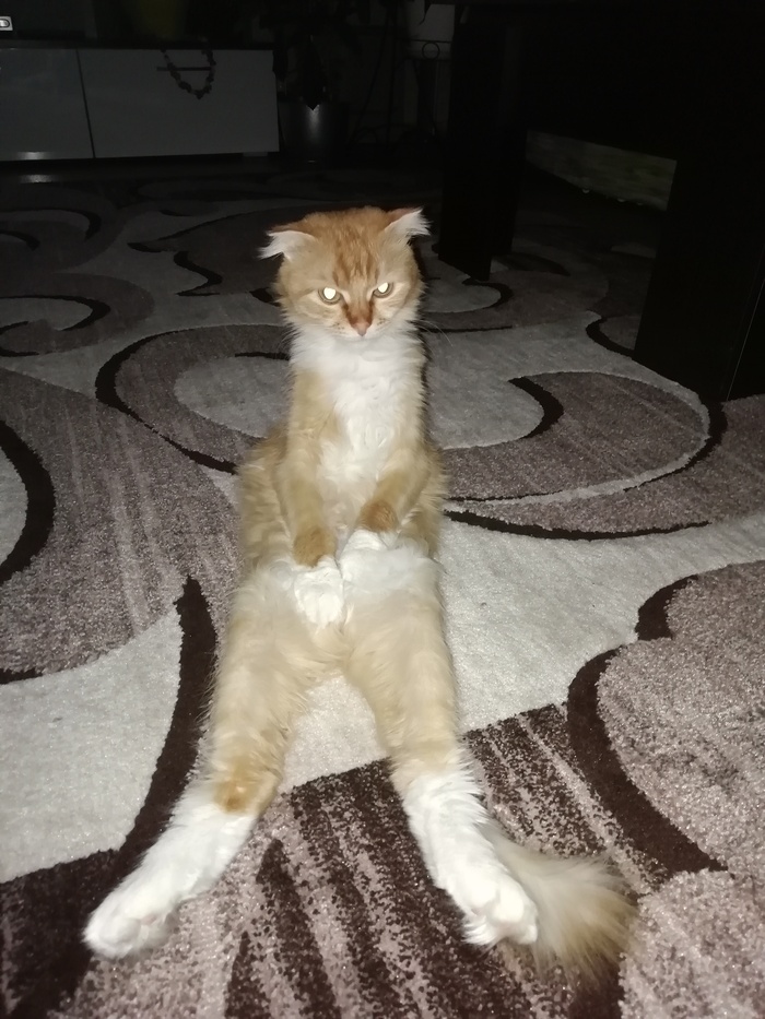     , , , 