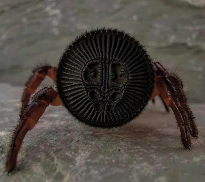 Если не знаешь, что делать с проблемой — просто отвернись от неё.