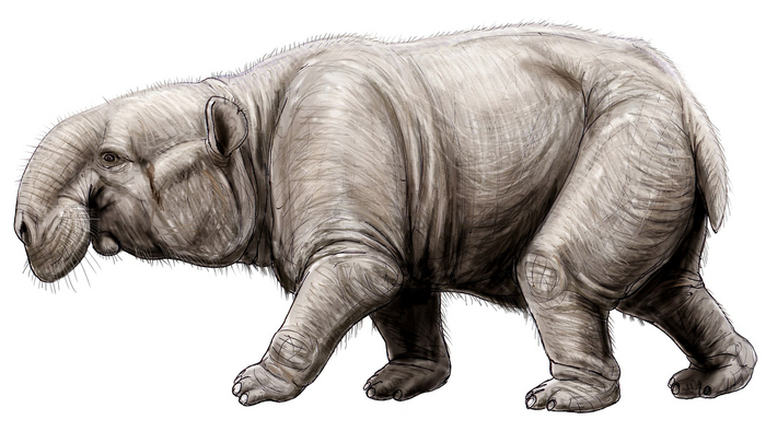 Ждуна вызывали?