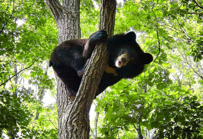 Мам, смотри, как могу!