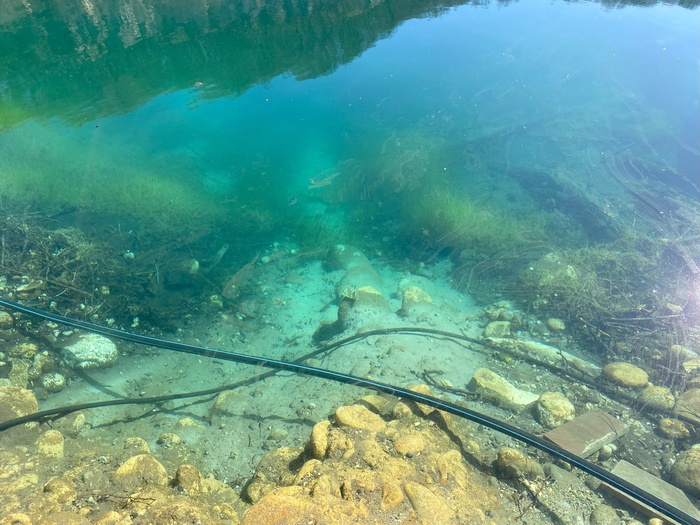 �������� ���� ��������� � ���� "������". :)