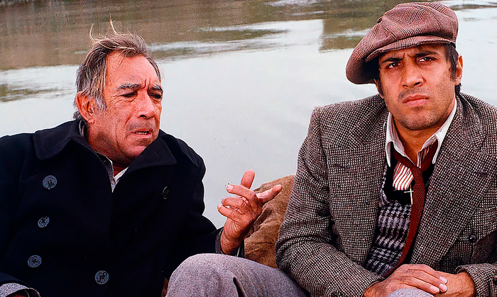 Шикарный дуэт!