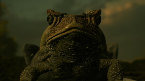 С таким же задумчивым лицом и я пытался понять сюжет