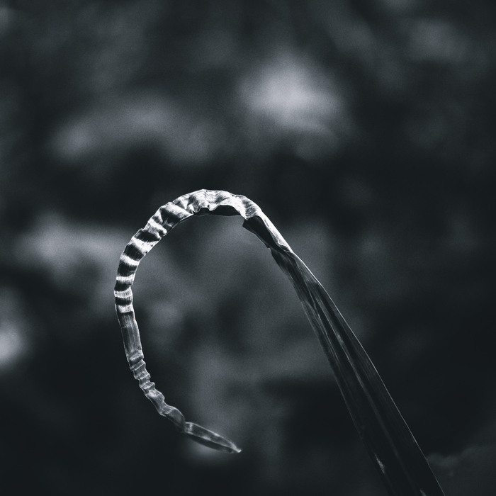 Помят, но не сломлен