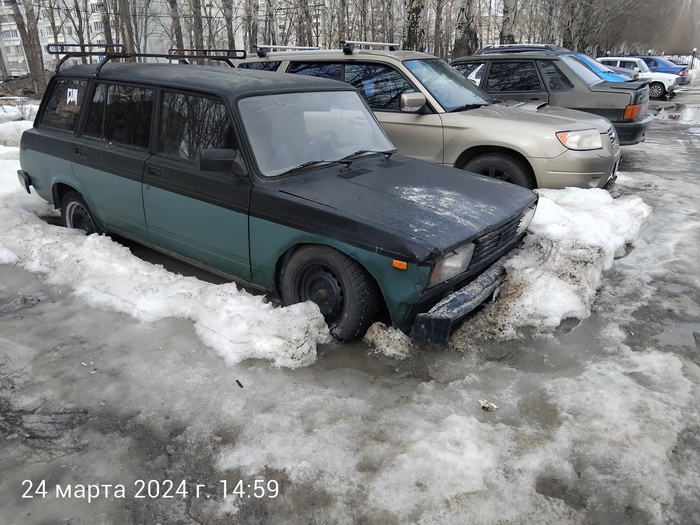 Подснежники