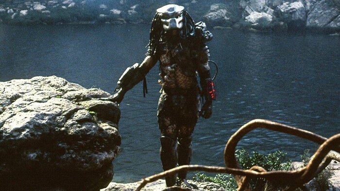 ���� ������ "������" .