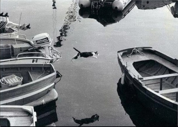 ���������?