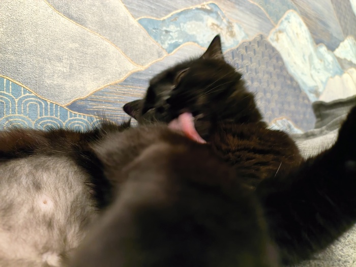 ����� �� ���� ������������